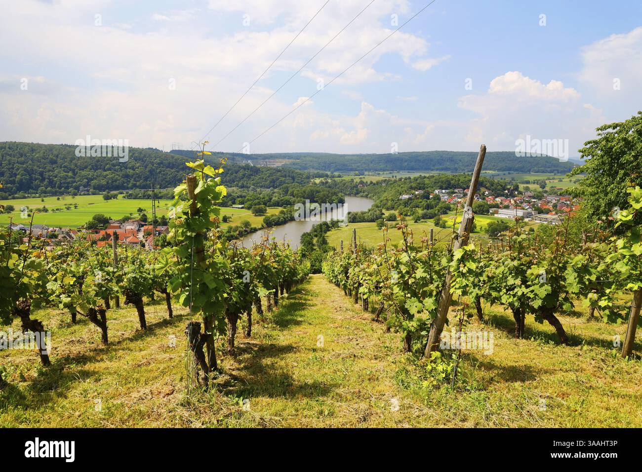 La valle del Neckar, vista dal Michelsberg, Gundelsheim, Baden-Wuerttemberg, Germania, Europa Foto Stock