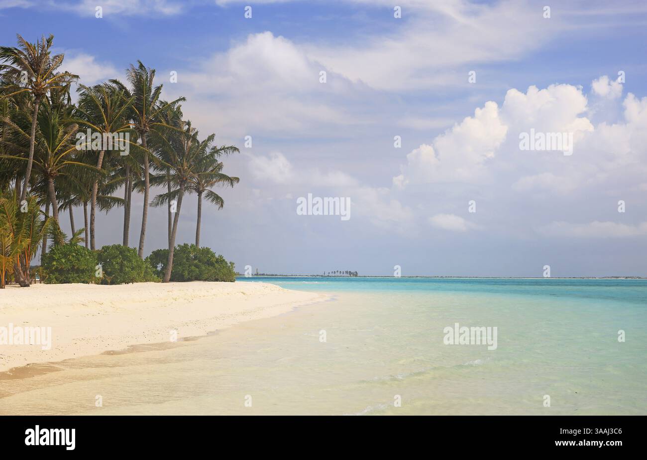 Idilliaca spiaggia con palme alle Maldive, Oceano Indiano Foto Stock