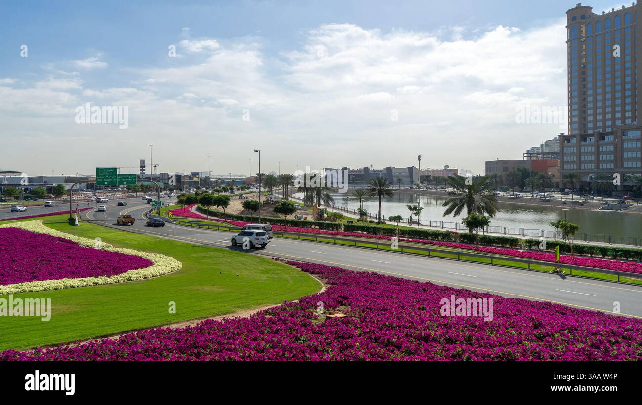 Autobahn o autostrada o strade a più corsie a Dubai, Emirati Arabi Uniti. Interscambi di trasporti negli Emirati Arabi Uniti. Traffico stradale. Prati decorativi con petunie b Foto Stock