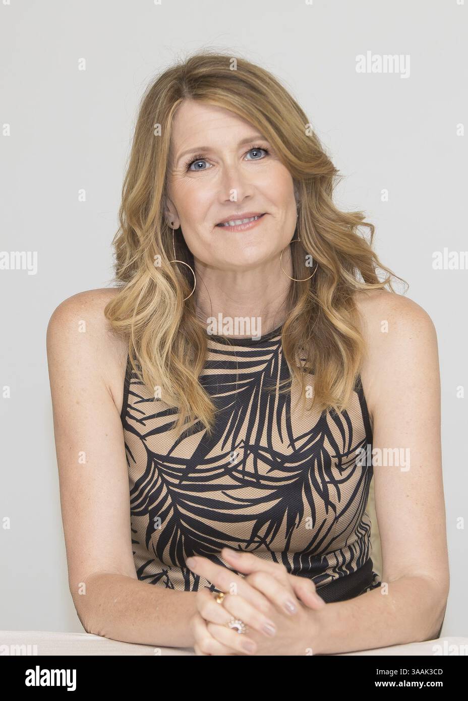 28 aprile 2018 - Hollywood, California, Stati Uniti - l'attrice LAURA DERN promuove il film della HBO "The tale" a Hollywood. (Immagine di credito: © Armando Gallo/ZUMA Studio) Foto Stock