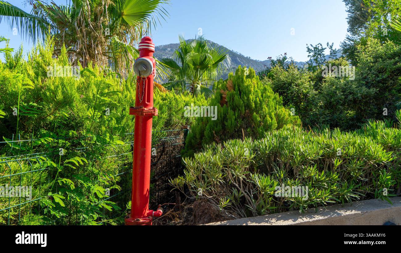 Idrante rosso del fuoco sullo sfondo di piante tropicali e palme nel paese mediterraneo sul territorio dell'hotel o nel cortile di casa. Sicurezza antincendio Foto Stock