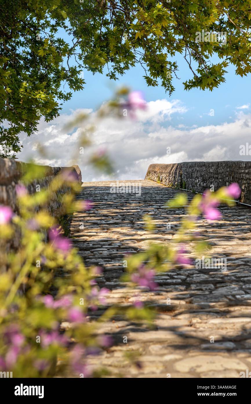 Il ponte di pietra di Arta che attraversa il fiume Arachthos nella città di Arta in Grecia, la ballata popolare racconta una storia di sacrificio umano durante il suo b Foto Stock