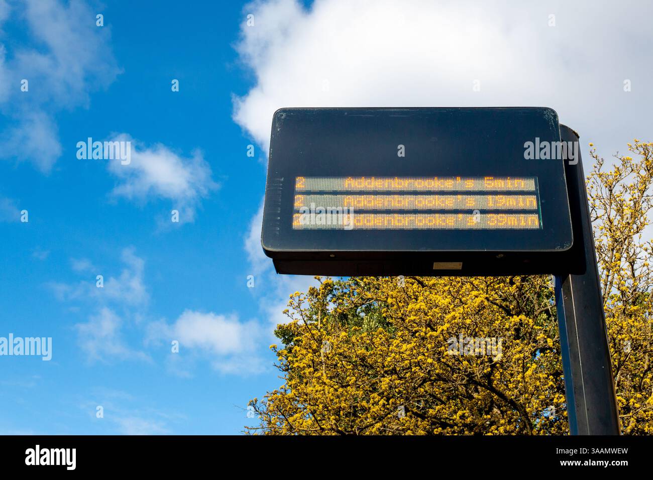 Una fermata dell'autobus che mostra gli orari degli autobus per l'Addenbrookes Hospital in Mill Road, Cambridge, Inghilterra, Regno Unito Foto Stock