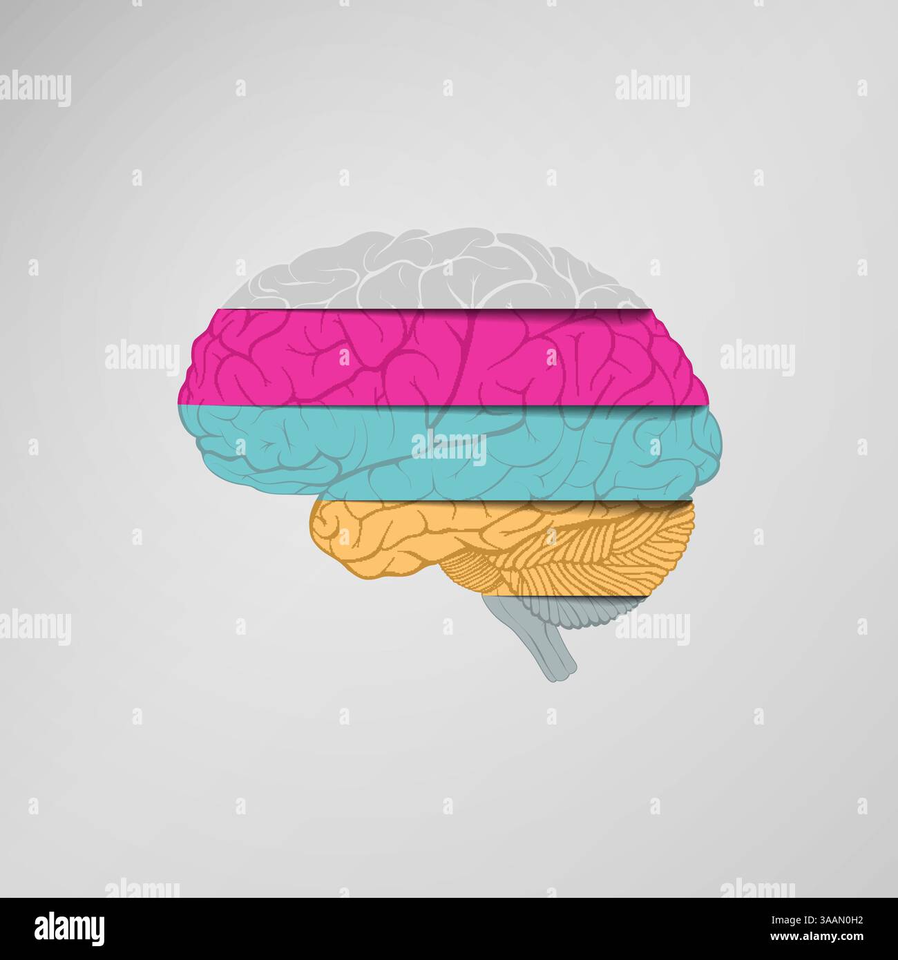 il cervello umano è costituito da strisce di carta multicolore. Illustrazione vettoriale. Illustrazione Vettoriale