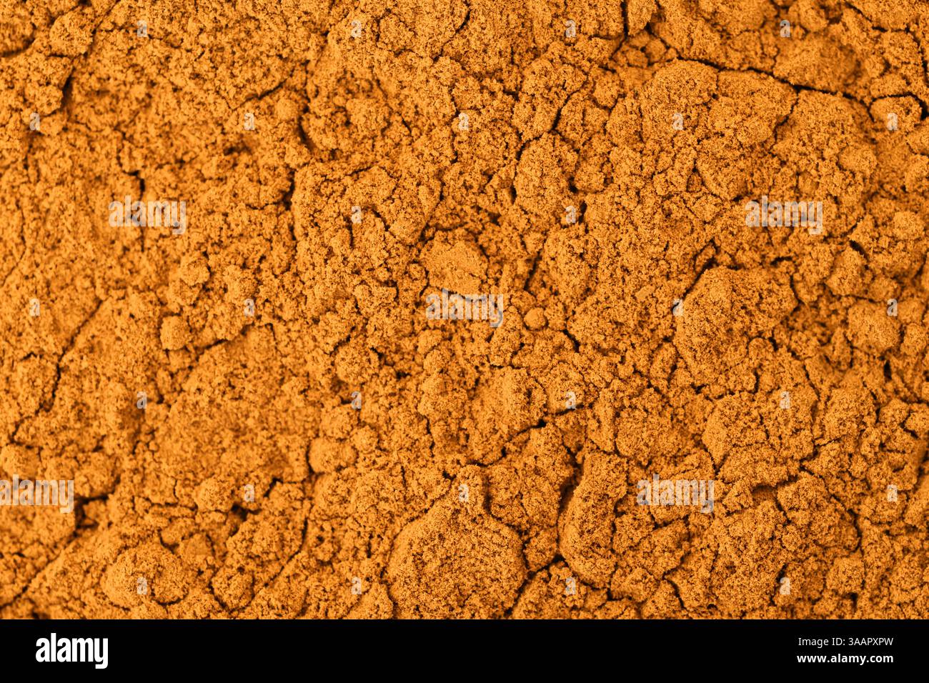 Fondo marrone in polvere di cacao criollo Foto Stock
