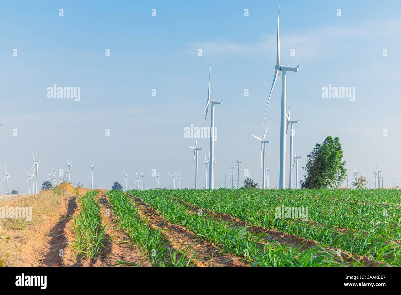 Turbine eoliche energia pulita intorno all'agricoltura terreni agricoli in campagna energia verde all'aperto natura paesaggio con cielo blu Foto Stock