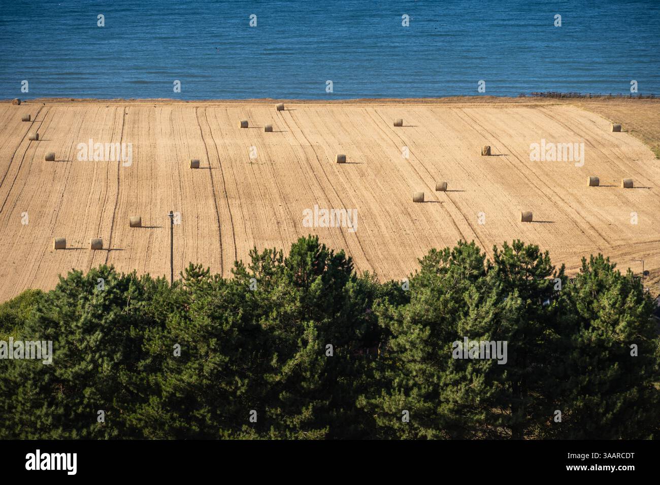 Balle di fieno in una fattoria sul mare Foto Stock