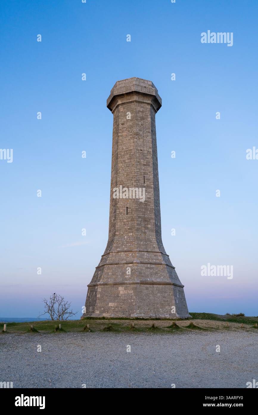 Hardy Monument al tramonto, Black Down, Portesham, Dorset, Inghilterra, REGNO UNITO Foto Stock
