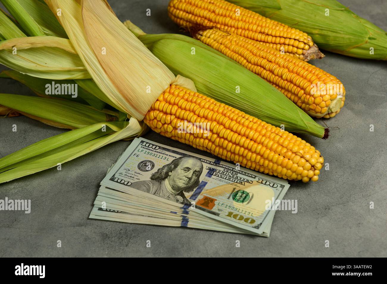 Banconote da un dollaro con semi di mais (Zea mays) concetto agroalimentare di produzione agricola e dollari agricoli in Argentina" Foto Stock