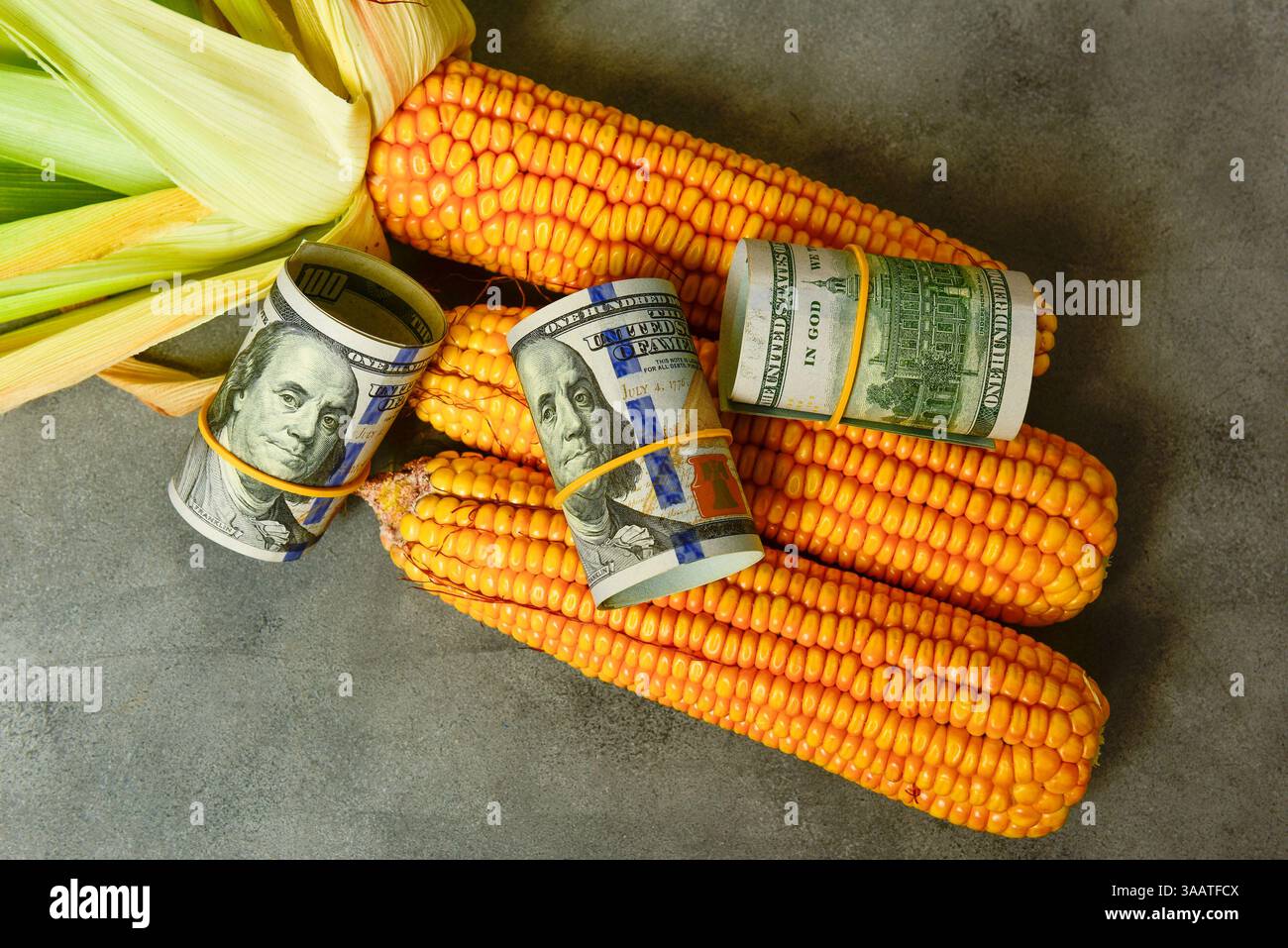Banconote da un dollaro con semi di mais (Zea mays) concetto agroalimentare di produzione agricola e dollari agricoli in Argentina" Foto Stock
