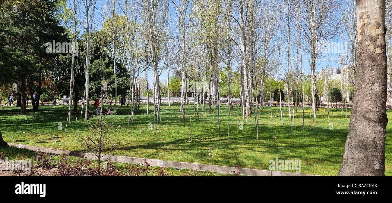 La bellezza primaverile del Parco Firdavsi a Dushanbe Foto Stock