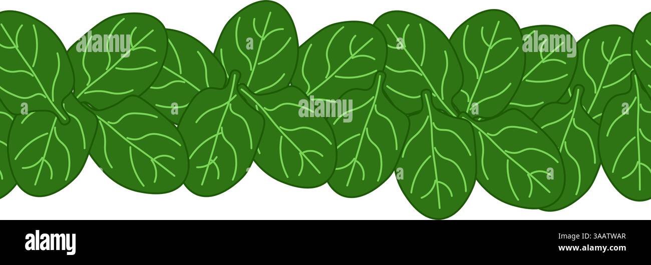 Gli spinaci verdi lasciano una cornice orizzontale senza cuciture di verdure a foglia, boxe, bordatura. modello scheda. Striscioni per illustrazioni piatte vettoriali, stampa per Illustrazione Vettoriale
