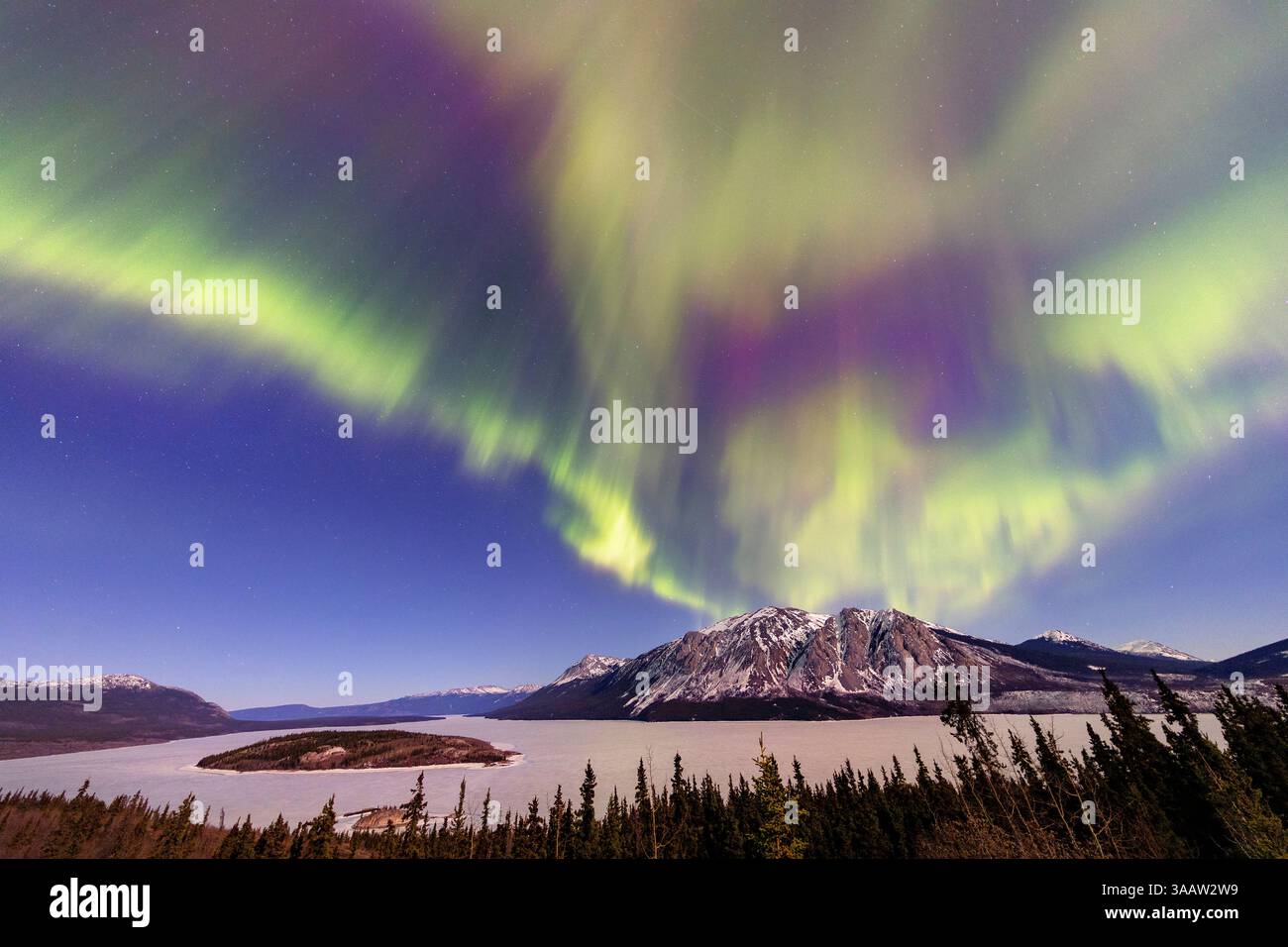 Aurora Borealis, Fish Lake, Whitehorse, Yukon, Canada. Foto Stock