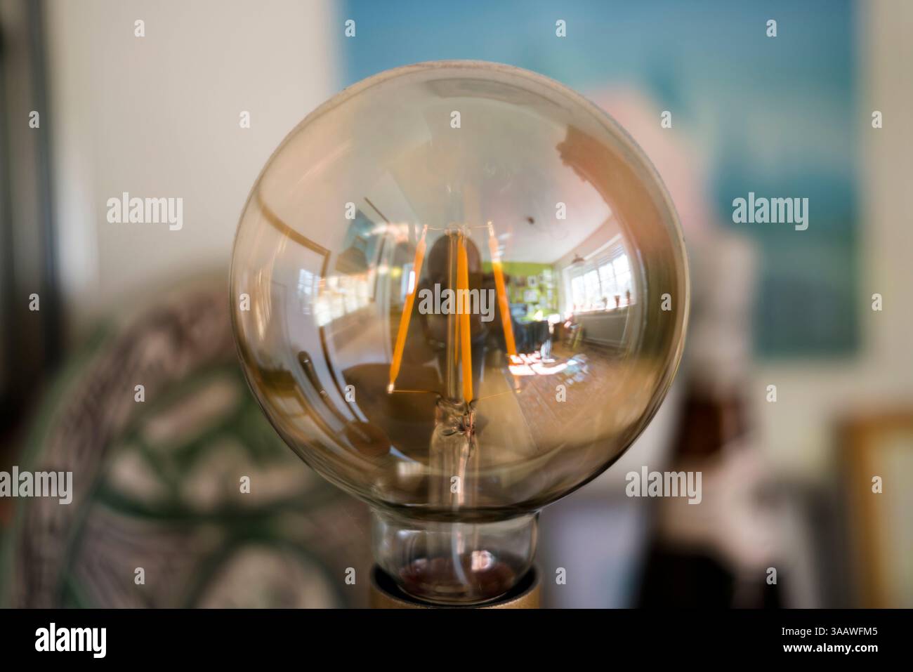 Lampadina gigante retrò Foto Stock