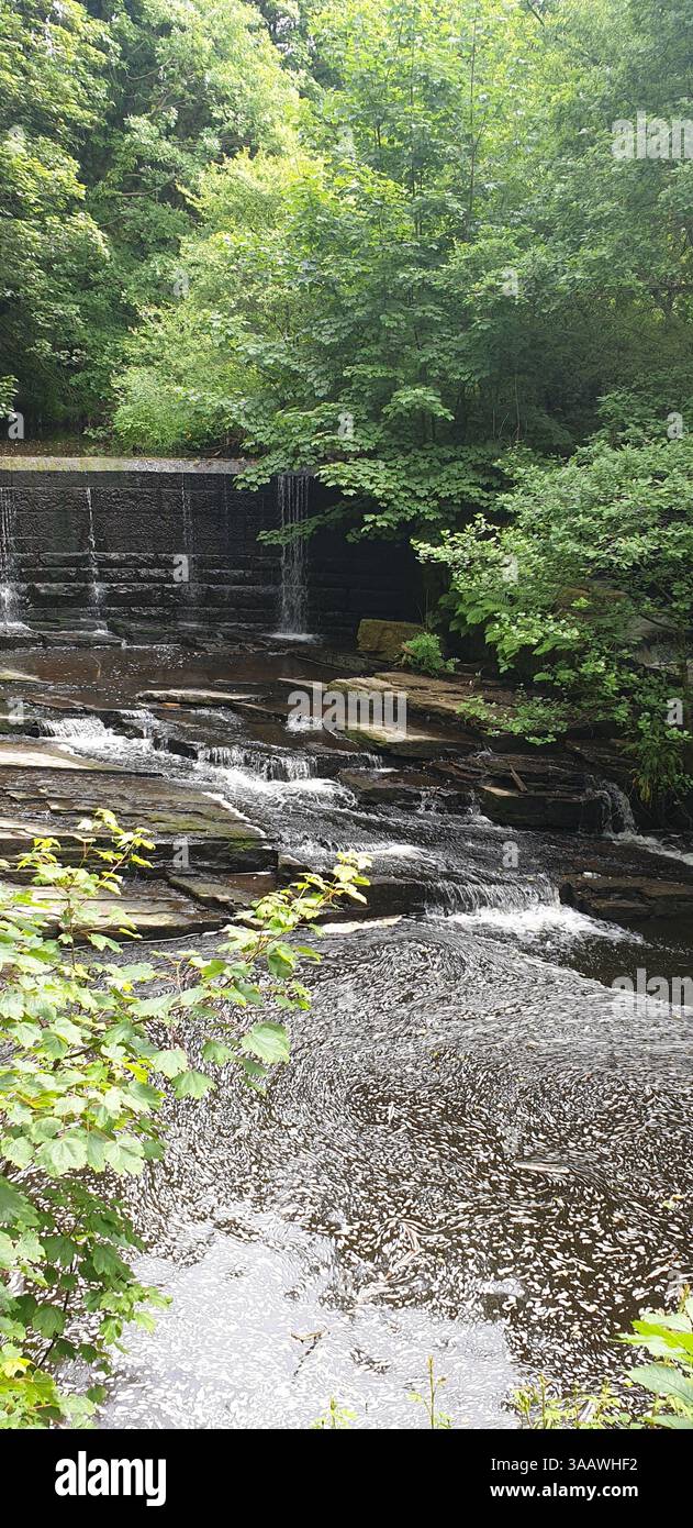 Yarrow Valley Park / Bircacre, Chorley, Lancashire, Regno Unito Foto Stock