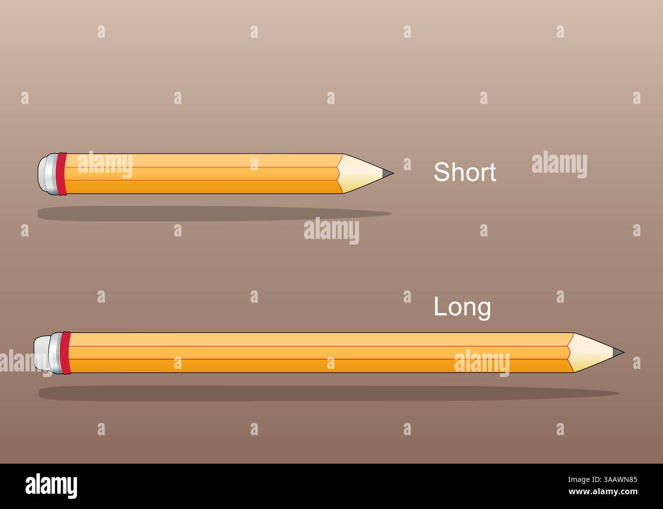 Confronta una matita corta e una lunga. Concetto di differenze di lunghezza. diagramma educativo. Illustrazione vettoriale Illustrazione Vettoriale