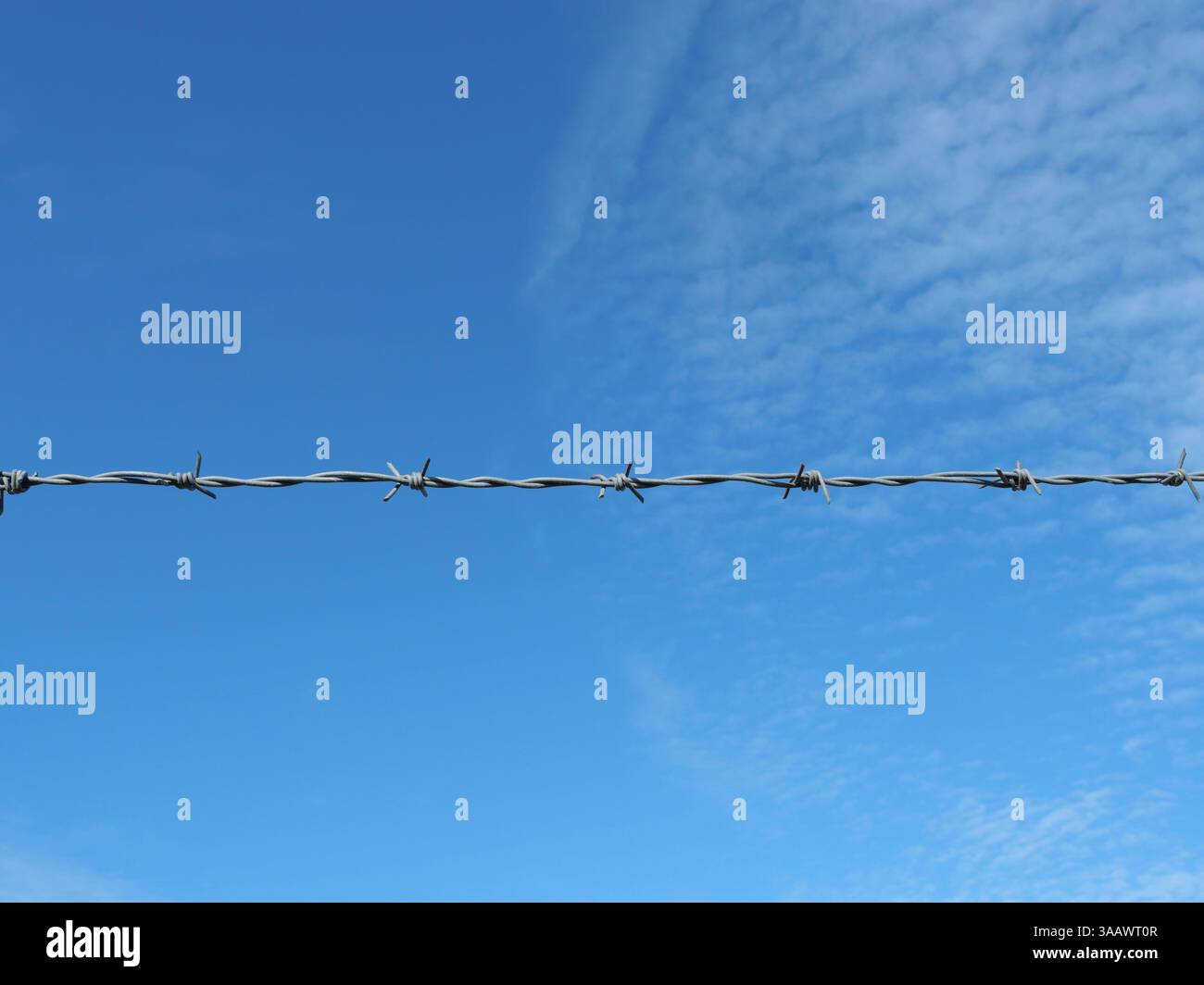 Filo spinato galvanizzato con quattro punti per nodo, per impedire l'accesso non autorizzato, in particolare in aree pericolose come le zone ad alta tensione Foto Stock Filo spinato galvanizzato con quattro punti per nodo, per impedire l'accesso non autorizzato, in particolare in aree pericolose come le zone ad alta tensione Foto Stock