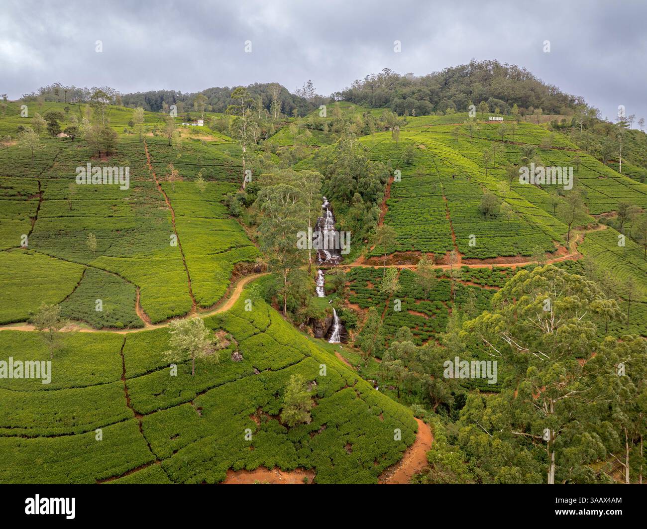 Una cascata scenografica attraversa lussureggianti piantagioni di tè a Nanu Oya, Sri Lanka, circondato da colline verdi ondulate e tortuosi sentieri sterrati. Foto Stock