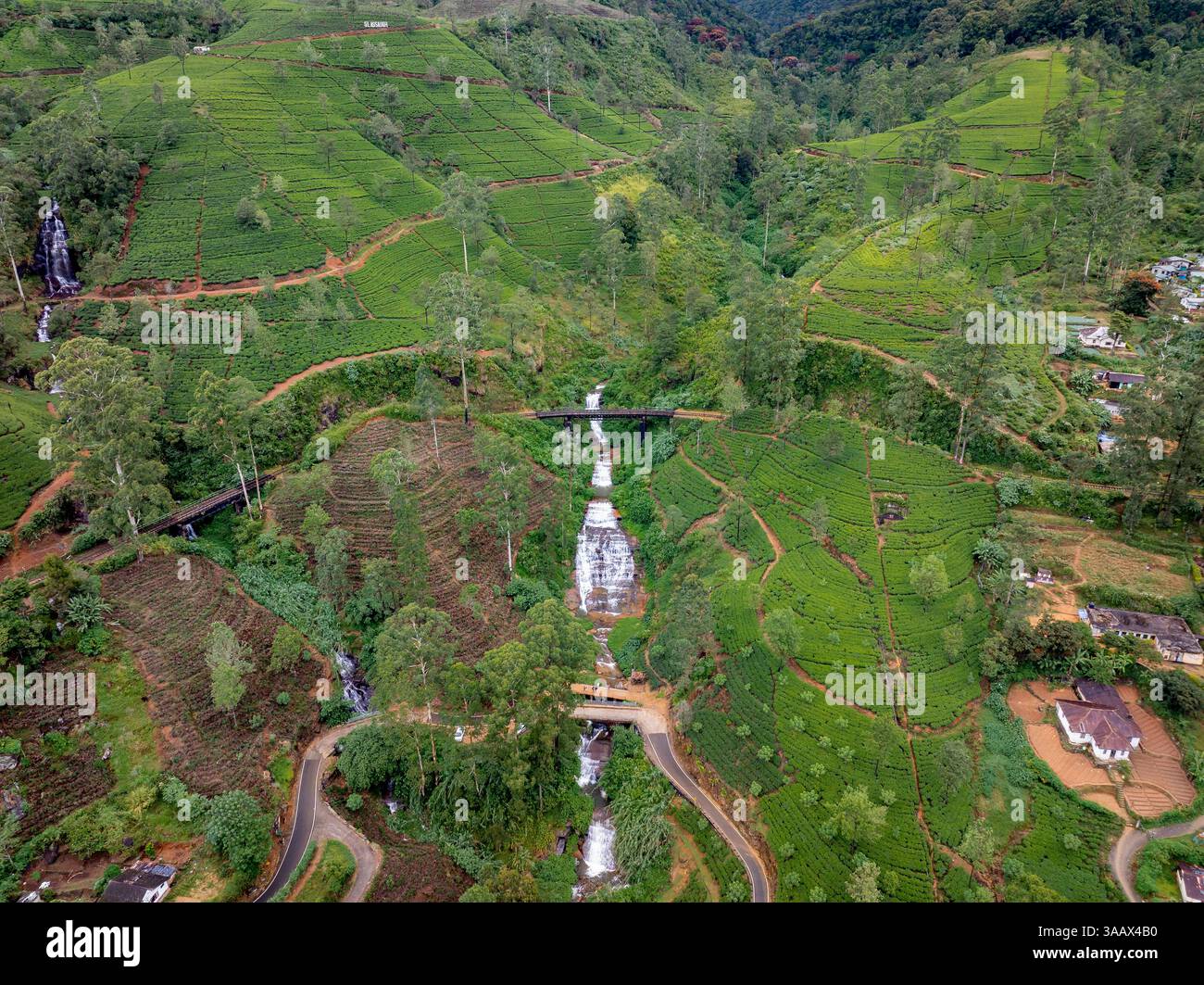 Una cascata scenografica attraversa lussureggianti piantagioni di tè a Nanu Oya, Sri Lanka, circondato da colline verdi ondulate e tortuosi sentieri sterrati. Foto Stock