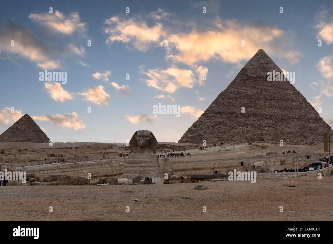 La Sfinge nel complesso piramidale di Giza - il Cairo, Egitto Foto Stock
