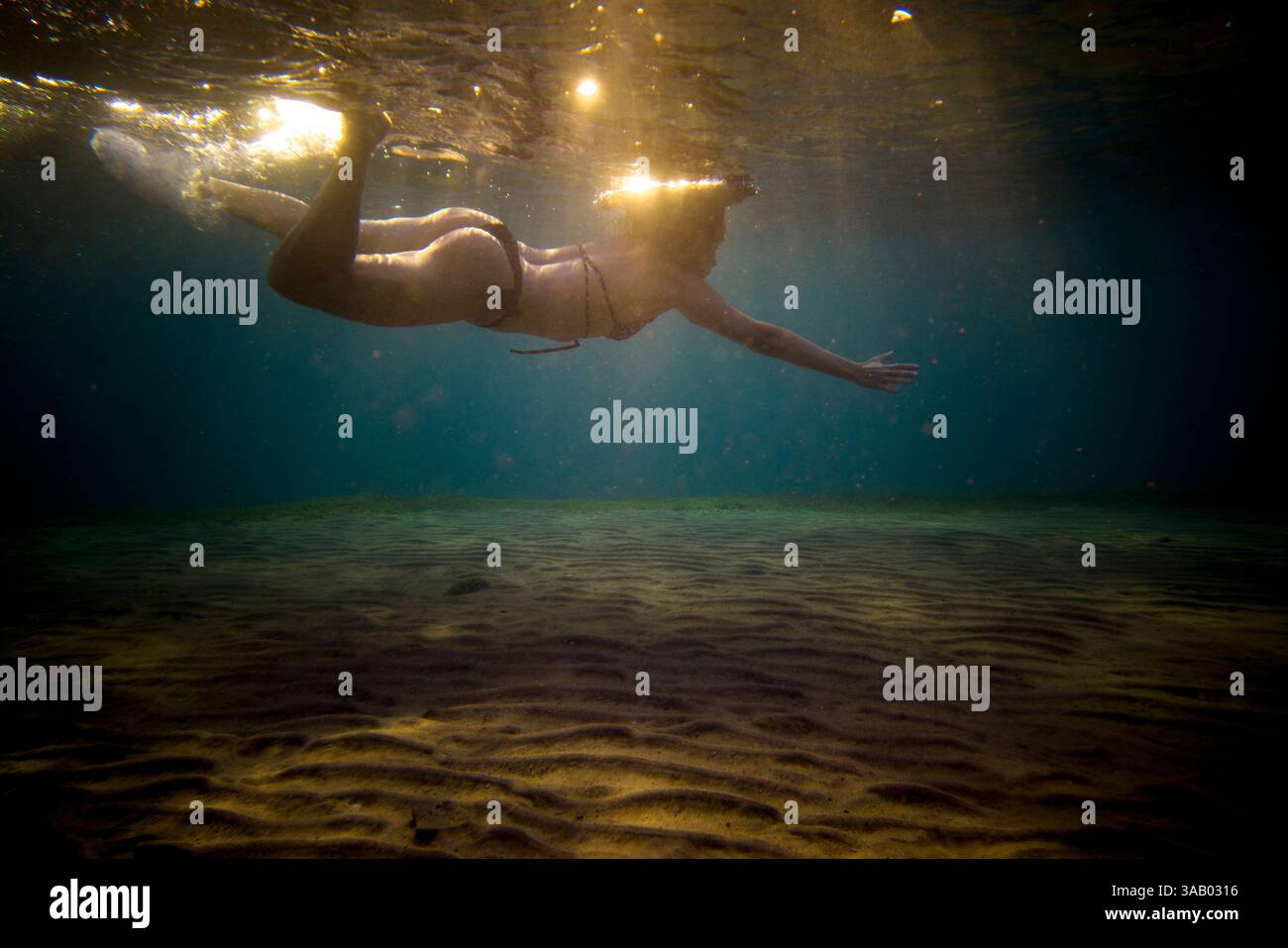 SOUTH BEACH JORDAN - 10 SETTEMBRE 2021: Farinha nei coralli del Mar Rosso. CREDITO: Daniel Rodrigues Foto Stock