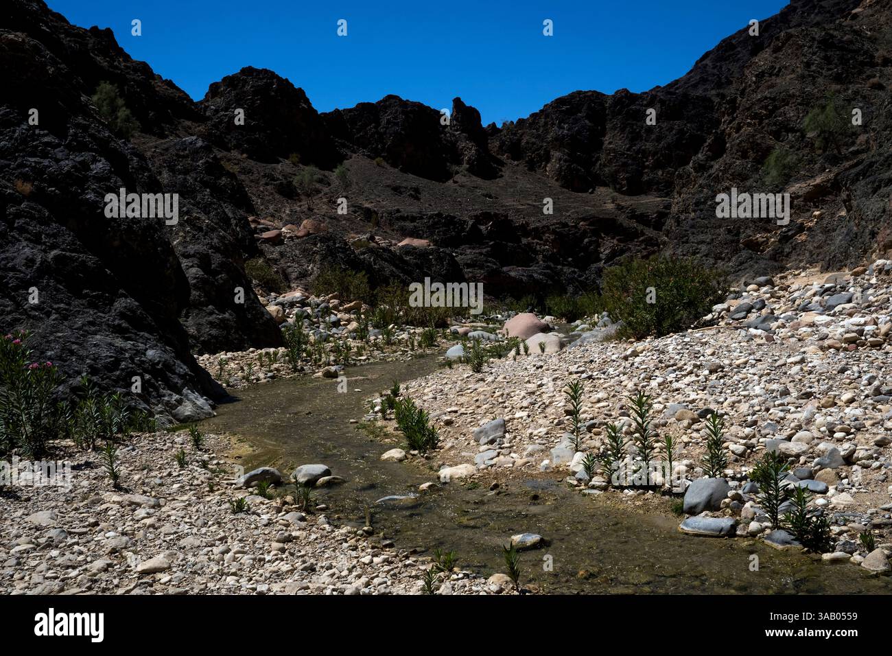 AL-MANSOURA, GIORDANIA - 10 SETTEMBRE 2021: Montagne nere nel Wadi Ghuweir Trail. CREDITO: Daniel Rodrigues Foto Stock