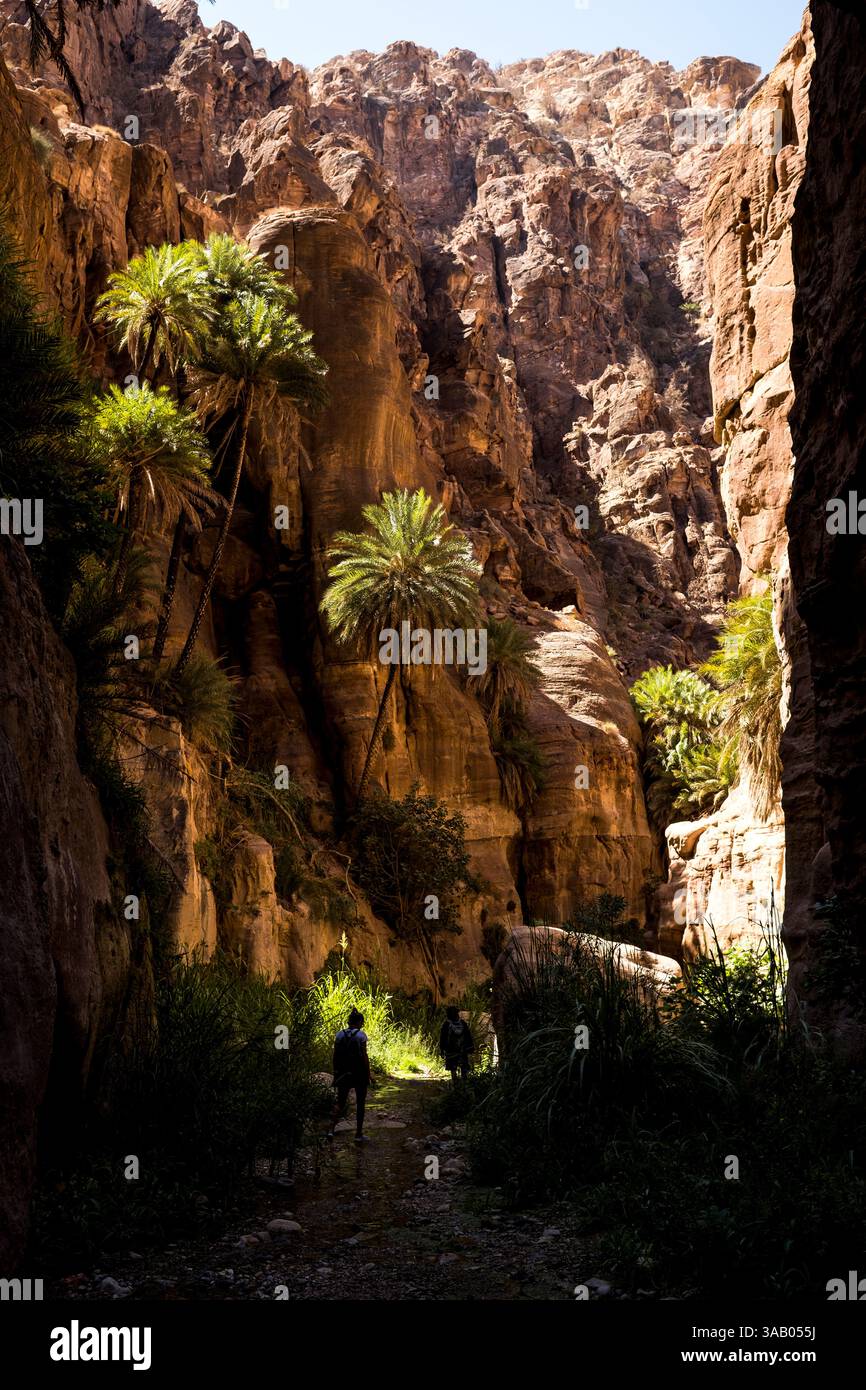 AL-MANSOURA, GIORDANIA - 10 SETTEMBRE 2021: Oasi del Wadi Ghuweir Trail. CREDITO: Daniel Rodrigues Foto Stock