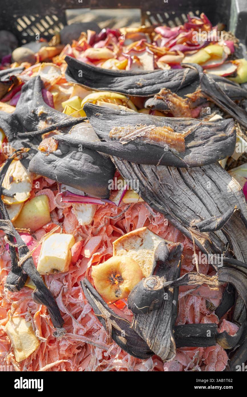 Pile di compost per rifiuti organici con rottami di frutta e verdura, focalizzazione selettiva. Foto Stock