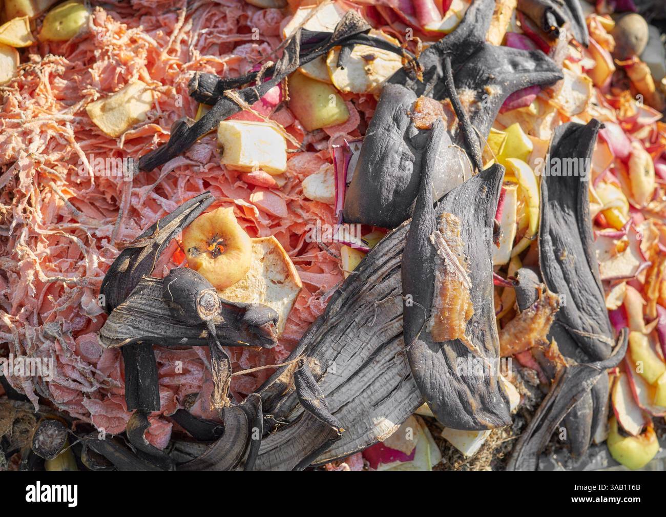 Pile di compost per rifiuti organici con rottami di frutta e verdura, focalizzazione selettiva. Foto Stock