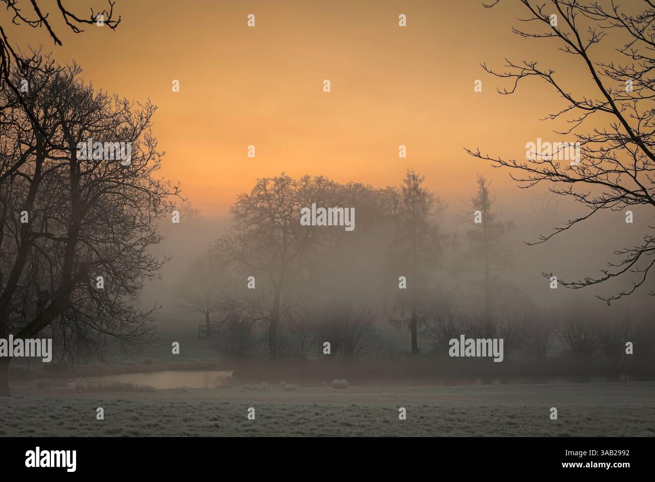 misty Winter Sunrise presso il torrente Norfolk colorato cielo mattina gelido nebbia Foto Stock
