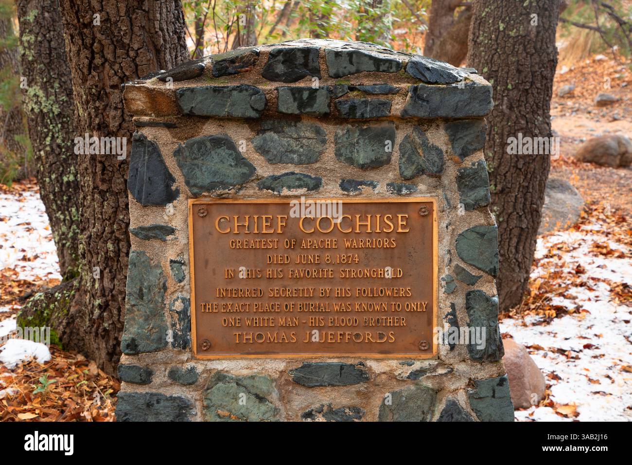 Capo placca Cochise, Coronado National Forest, Arizona Foto Stock