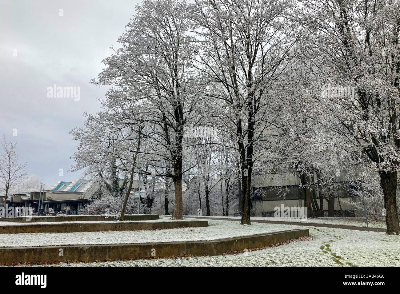 MONACO DI BAVIERA, GERMANIA - 2 DICEMBRE 2024: Frosty Morning nel campus dell'Università tecnica Garching di Monaco - Immagine stock catturata con smartphone