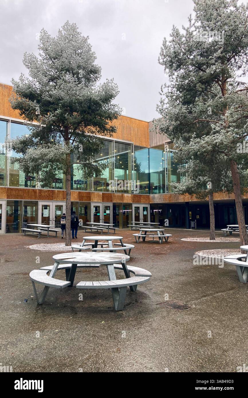 MONACO DI BAVIERA, GERMANIA - 2 DICEMBRE 2024: Frosty Morning nel campus dell'Università tecnica Garching di Monaco - Immagine stock catturata con smartphone