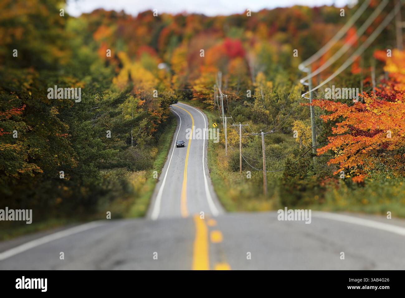 Effetto sfocato e bokeh, fotografie artisticamente modificate, paesaggio, provincia del Quebec, Canada, nord America Foto Stock