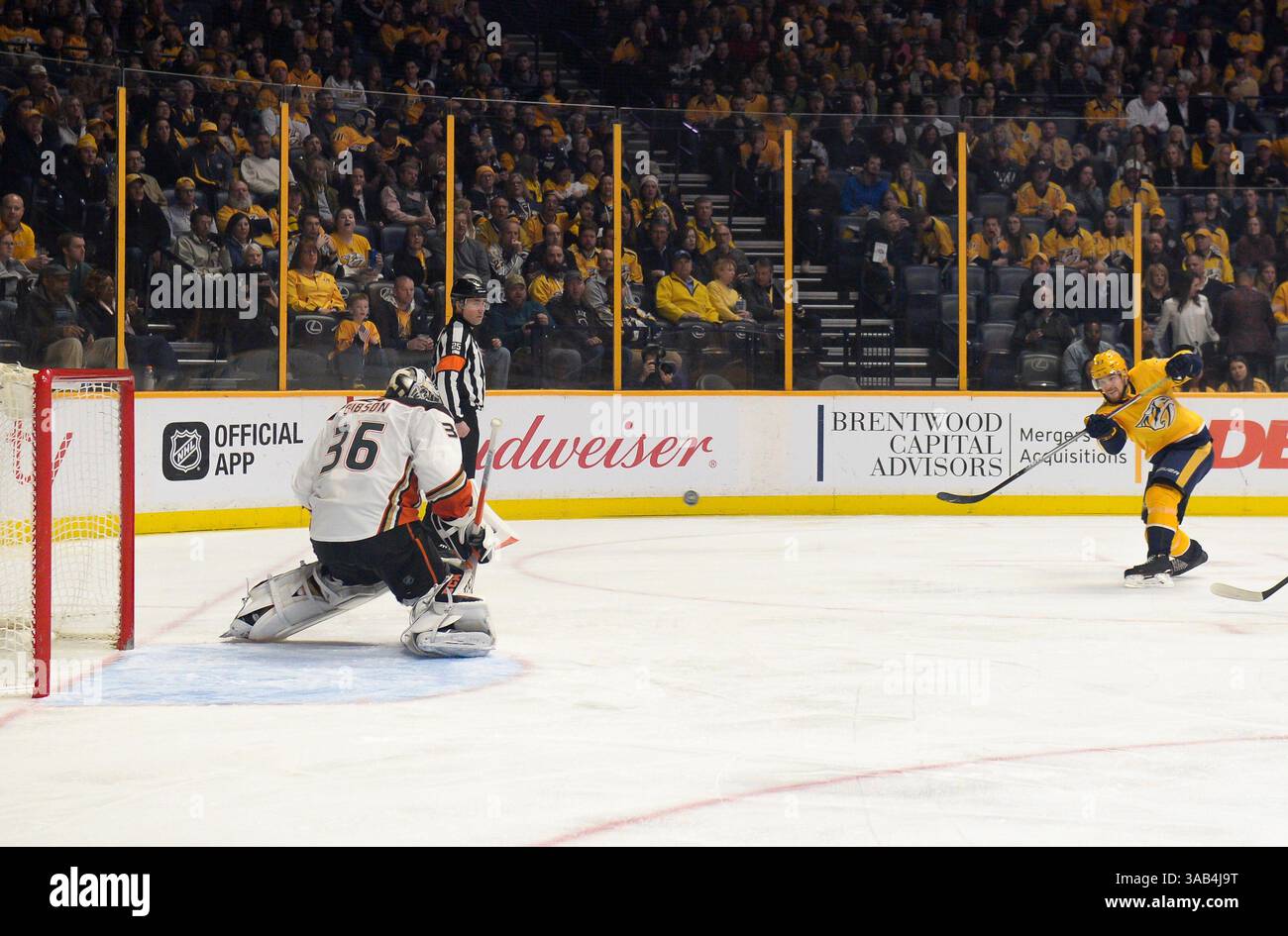 8 marzo 2018; il portiere degli Anaheim Ducks John Gibson (36) blocca il tiro dell'ala sinistra dei Nashville Predators Viktor Arvidsson (33) durante il primo periodo tra gli Anaheim Ducks e i Nashville Predators alla Bridgestone Arena. (Credito fotografico obbligatorio: Steve Roberts/CSM)(immagine di credito: &Copy; Steve Roberts/Cal Sport Media/CSM tramite cavo ZUMA) Foto Stock