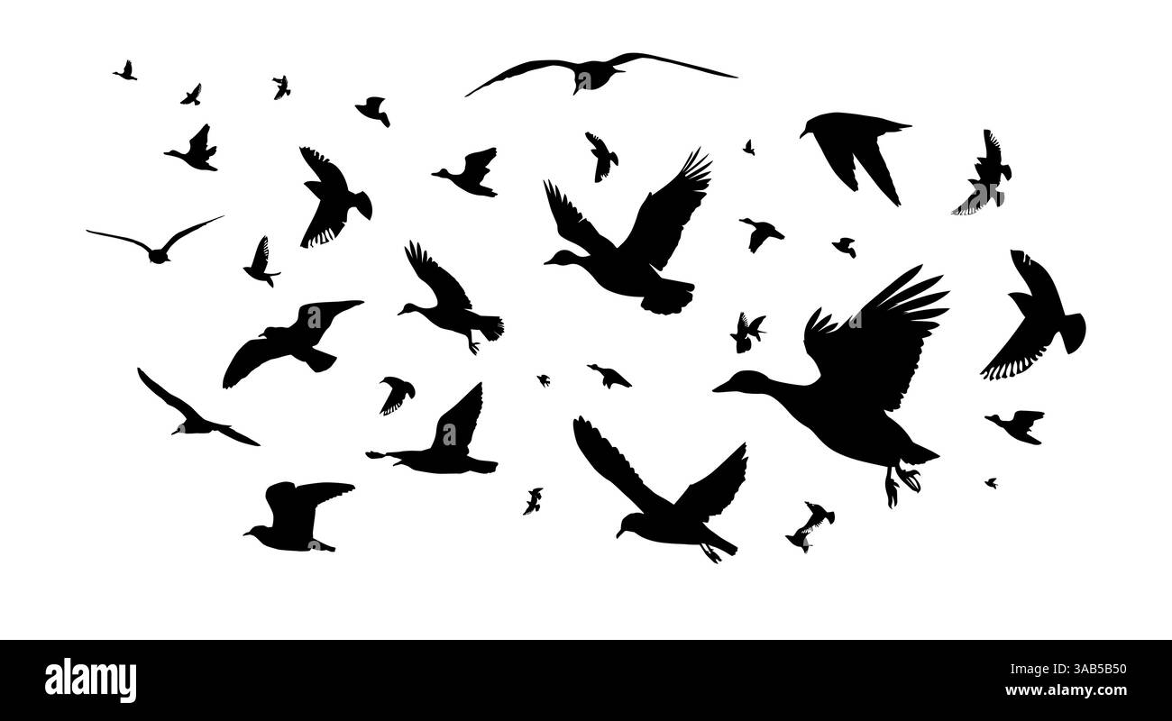 Uno stormo di anatre e gabbiani che volano. disegno a mano. Non IA. Illustrazione vettoriale Illustrazione Vettoriale