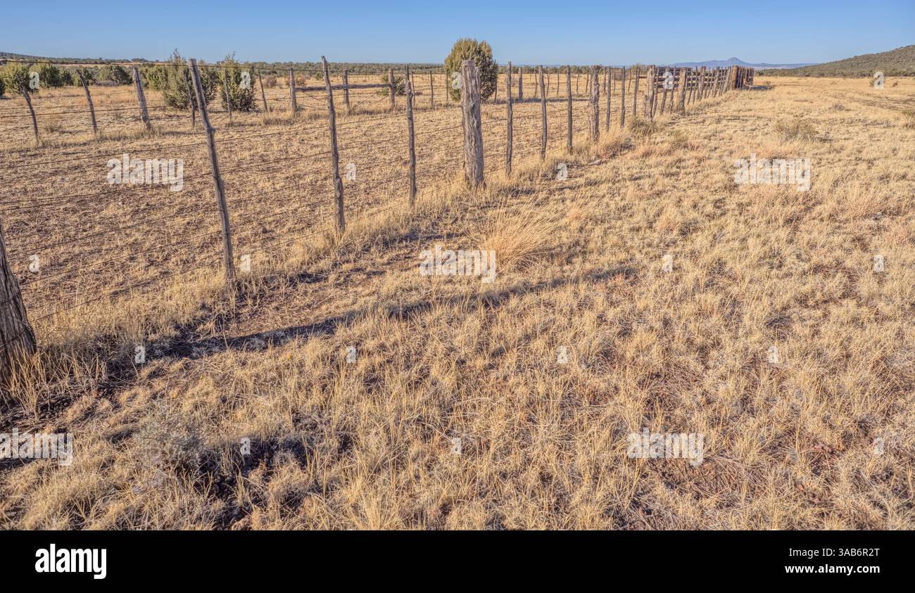 Un corral di bestiame per il carro armato di tredici miglia al largo di Corva Road nella Kaibab National Forest vicino ad Ash Fork, Arizona. Foto Stock