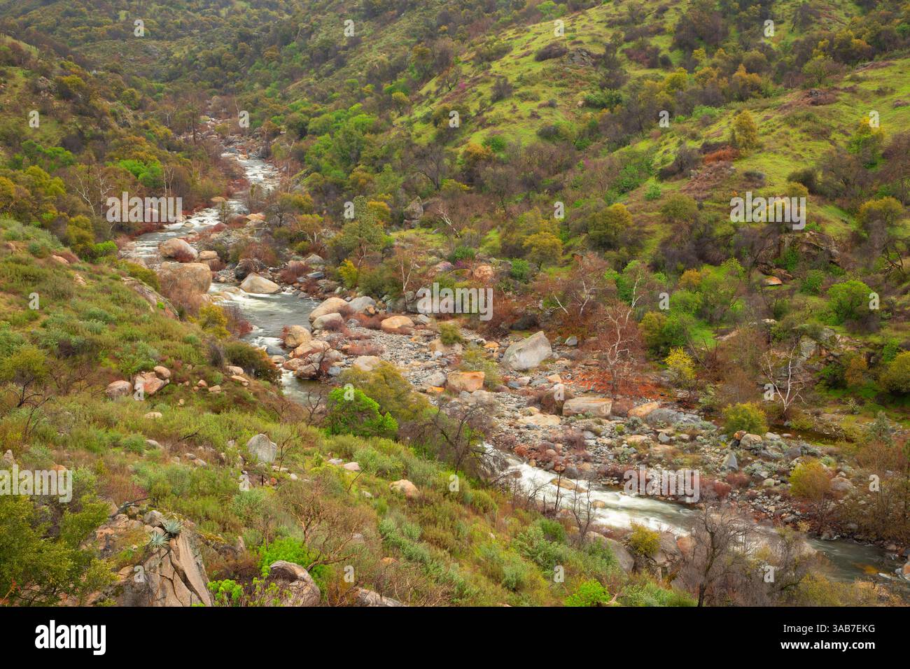Kaweah River, Sequoia National Park, California Foto Stock