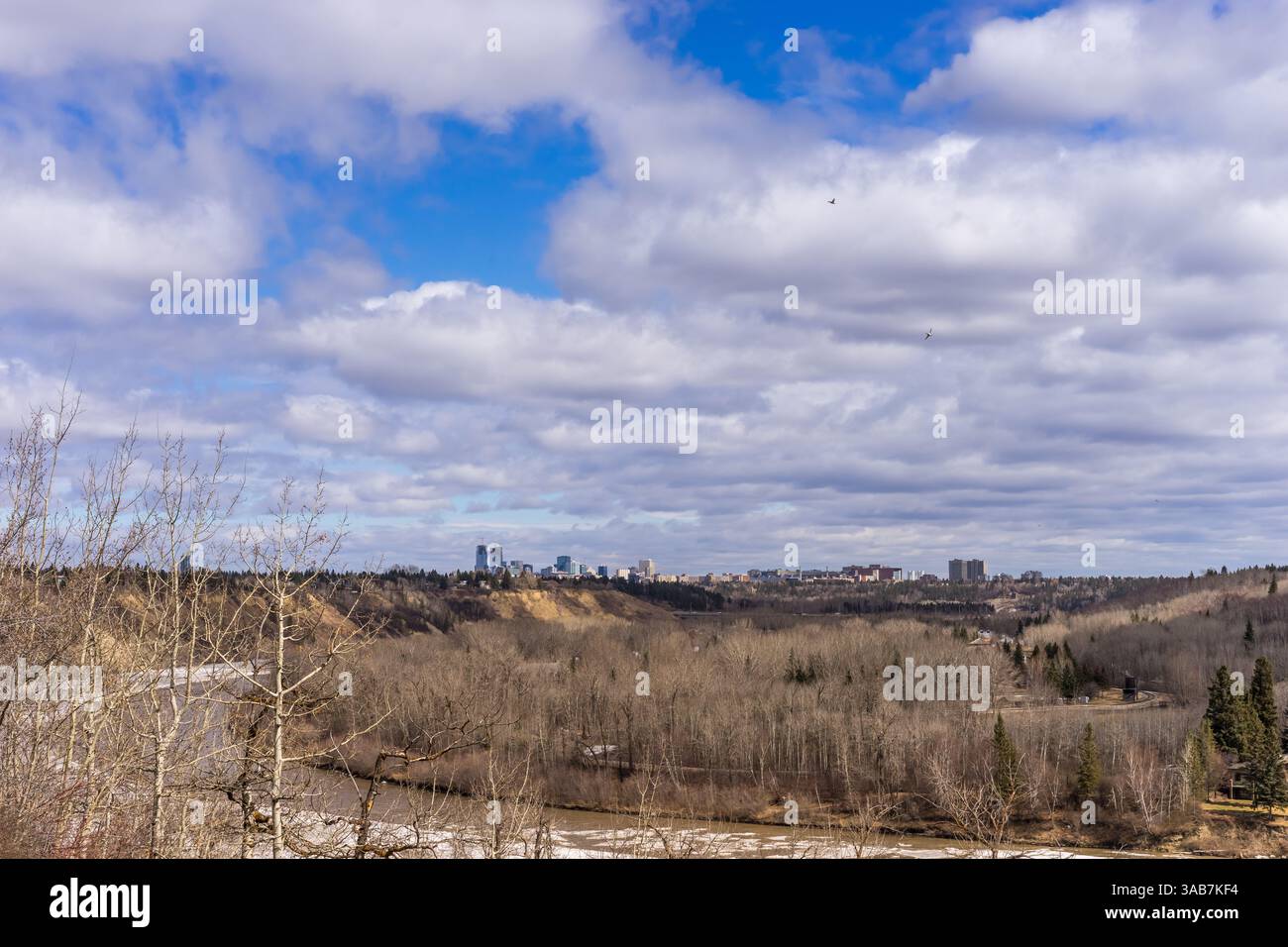 Vista della valle del fiume Edmonton North Saskatchewan e del centro città nella stagione primaverile con volo di uccelli Foto Stock