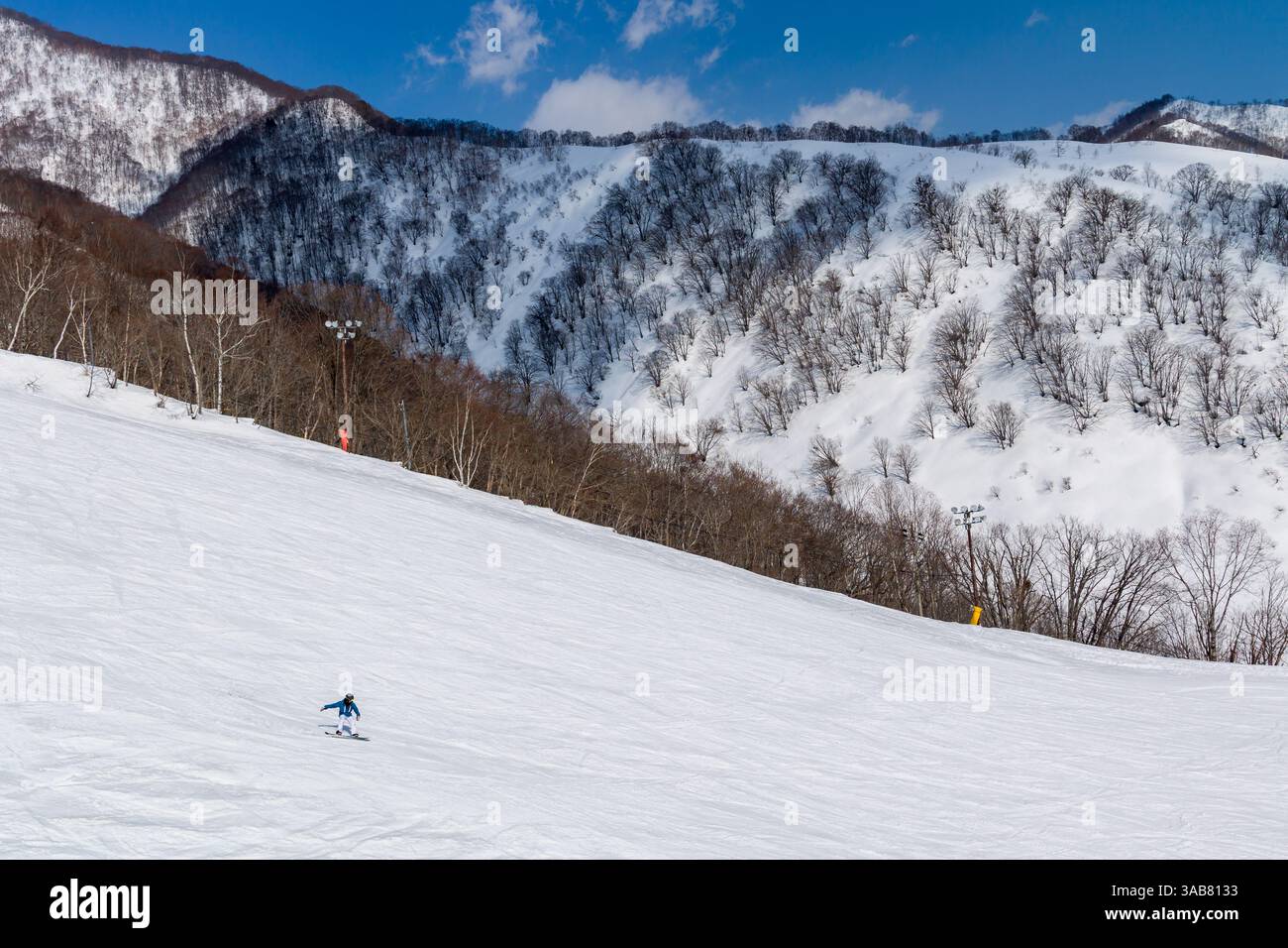 Snowboarder solitario che scende su una ripida e ampia pista da sci con montagne innevate e fondo forestale Foto Stock