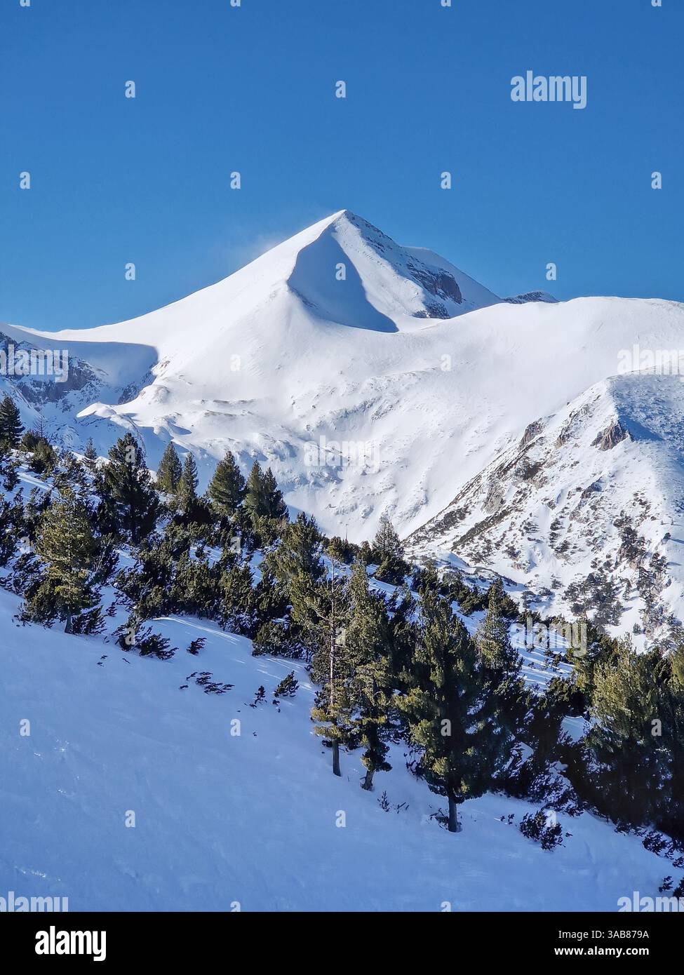 Maestosa vetta rocciosa ricoperta di neve e verde foresta di abeti in primo piano - Immagine stock catturata con smartphone