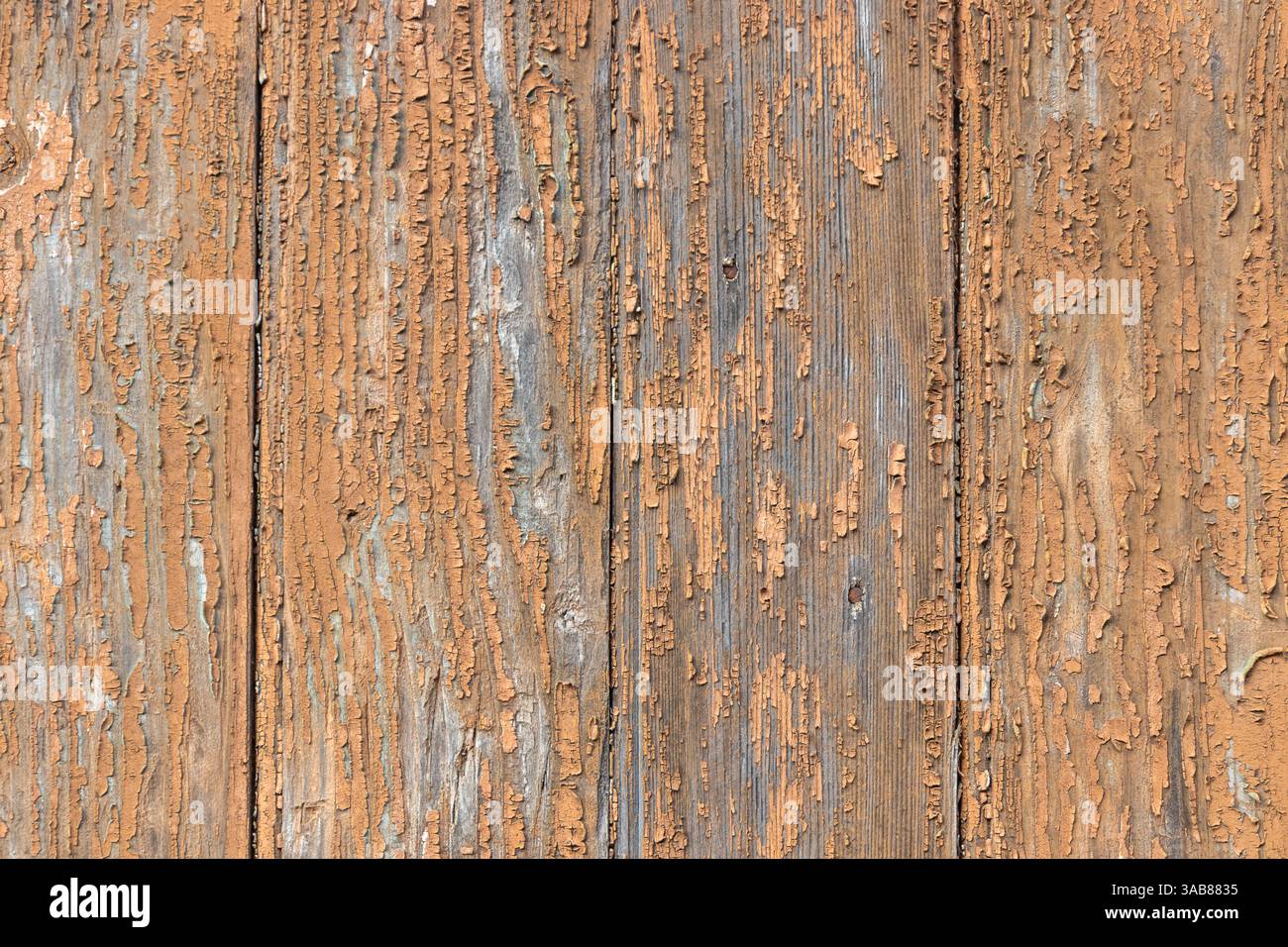 Scricchiolatura marrone - vernice a schegge esterna, intemperie e sbucciate dallo sfondo del tempo, sbucciatura dello sfondo di vernice beige, tavole di legno Foto Stock