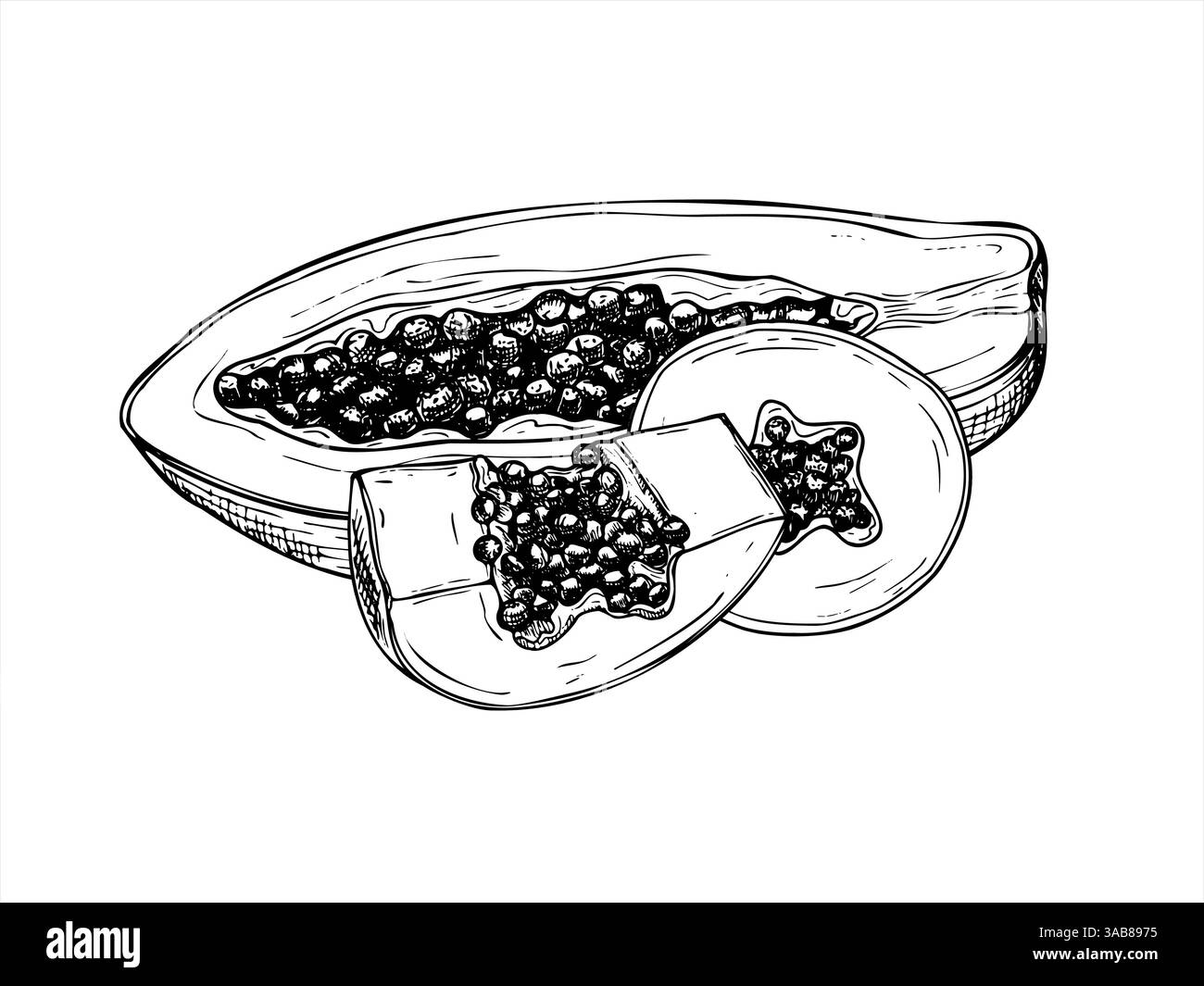 Fette di semi di frutta e sezione trasversale con illustrazioni dettagliate di inchiostro con linee di semi in bianco e nero. Frutta dolce tropicale disegnata a mano in monocromia Illustrazione Vettoriale