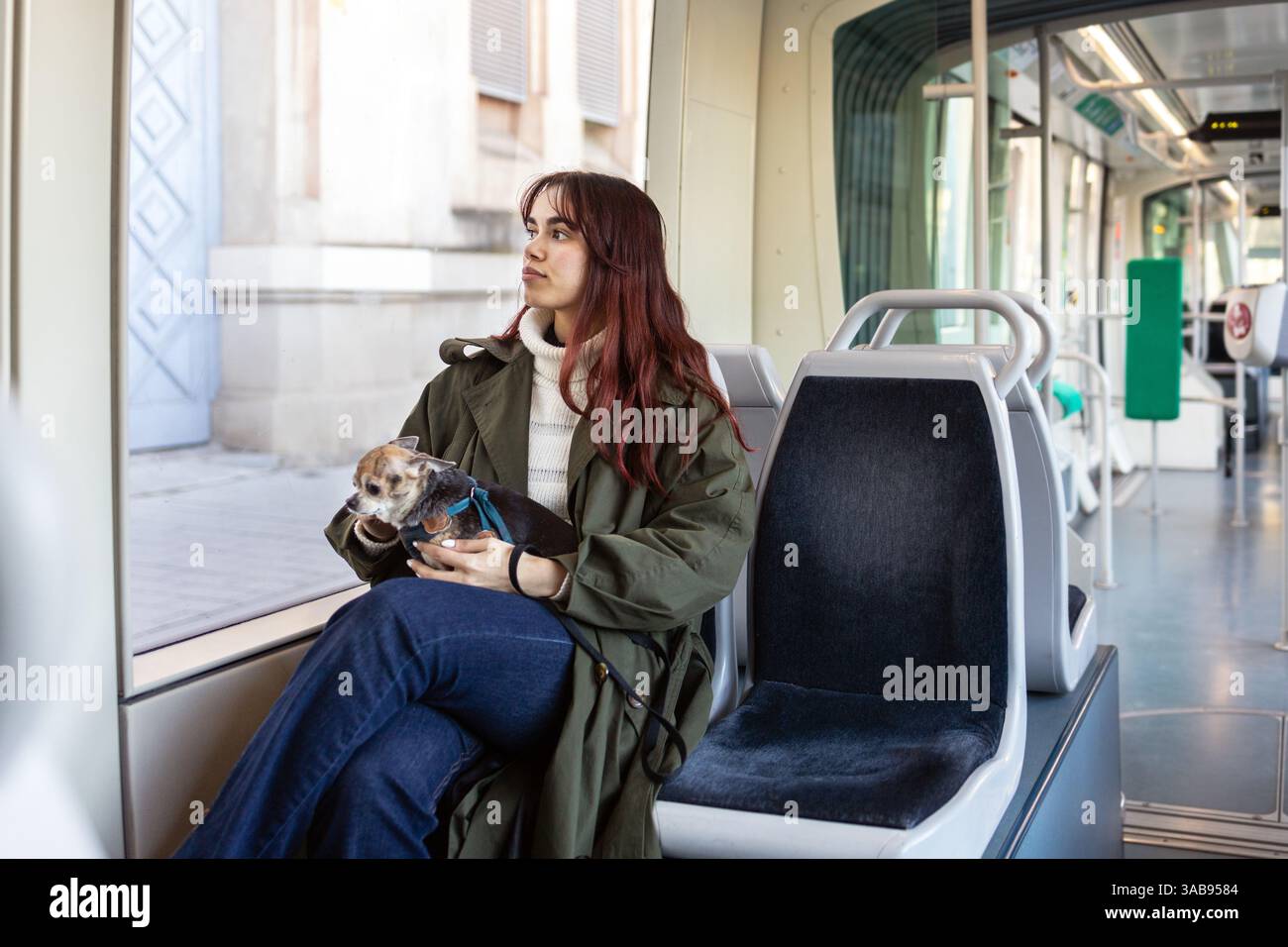 Una giovane donna con lunghi capelli rossi siede su un tram, tenendo in mano un piccolo chihuahua. Guarda fuori dalla finestra, perduta nel pensiero, mentre il paesaggio urbano si muove Foto Stock
