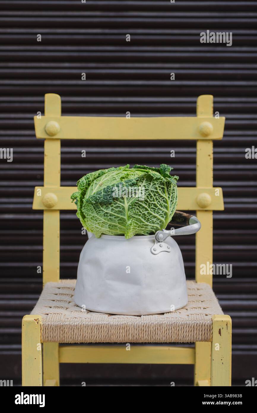 Un fresco cavolo verde siede in un rustico vaso di alluminio, posto su una seduta intrecciata di una sedia di legno gialla. Lo sfondo è un otturatore metallico a strisce orizzontali Foto Stock