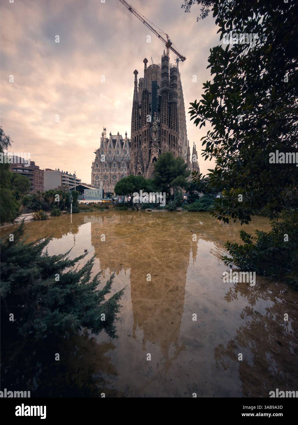 Una tranquilla scena a Barcellona con l'iconica Sagrada Familia, le sue dettagliate guglie si riflettono in un corpo d'acqua limpido e calmo in primo piano. Lussureggiante Foto Stock