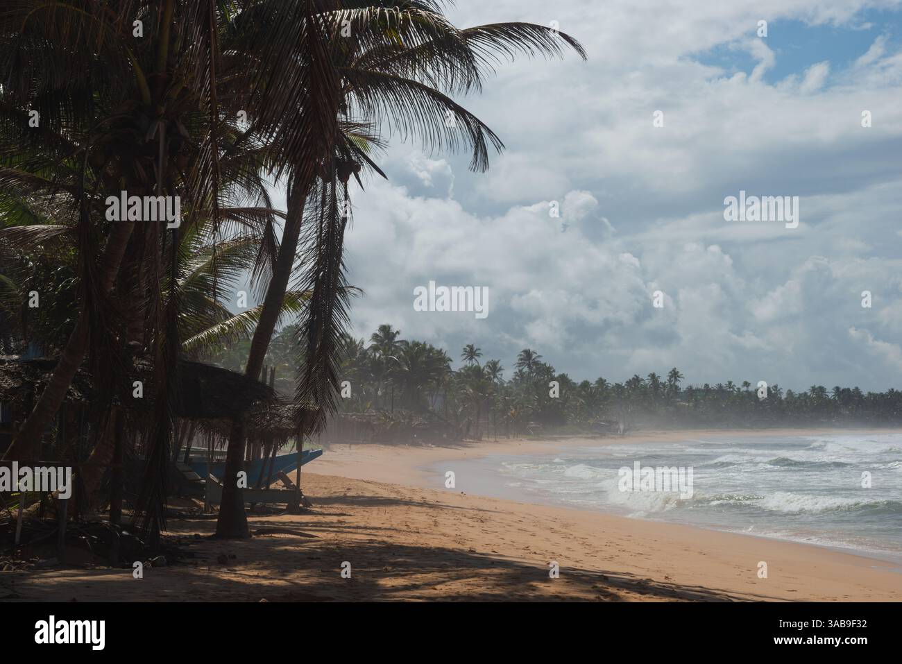 Spiaggia panoramica dello Sri Lanka con lussureggianti palme e onde nebbiose sotto un cielo pieno di nuvole. L'atmosfera tranquilla invita al relax e all'esplorazione Foto Stock