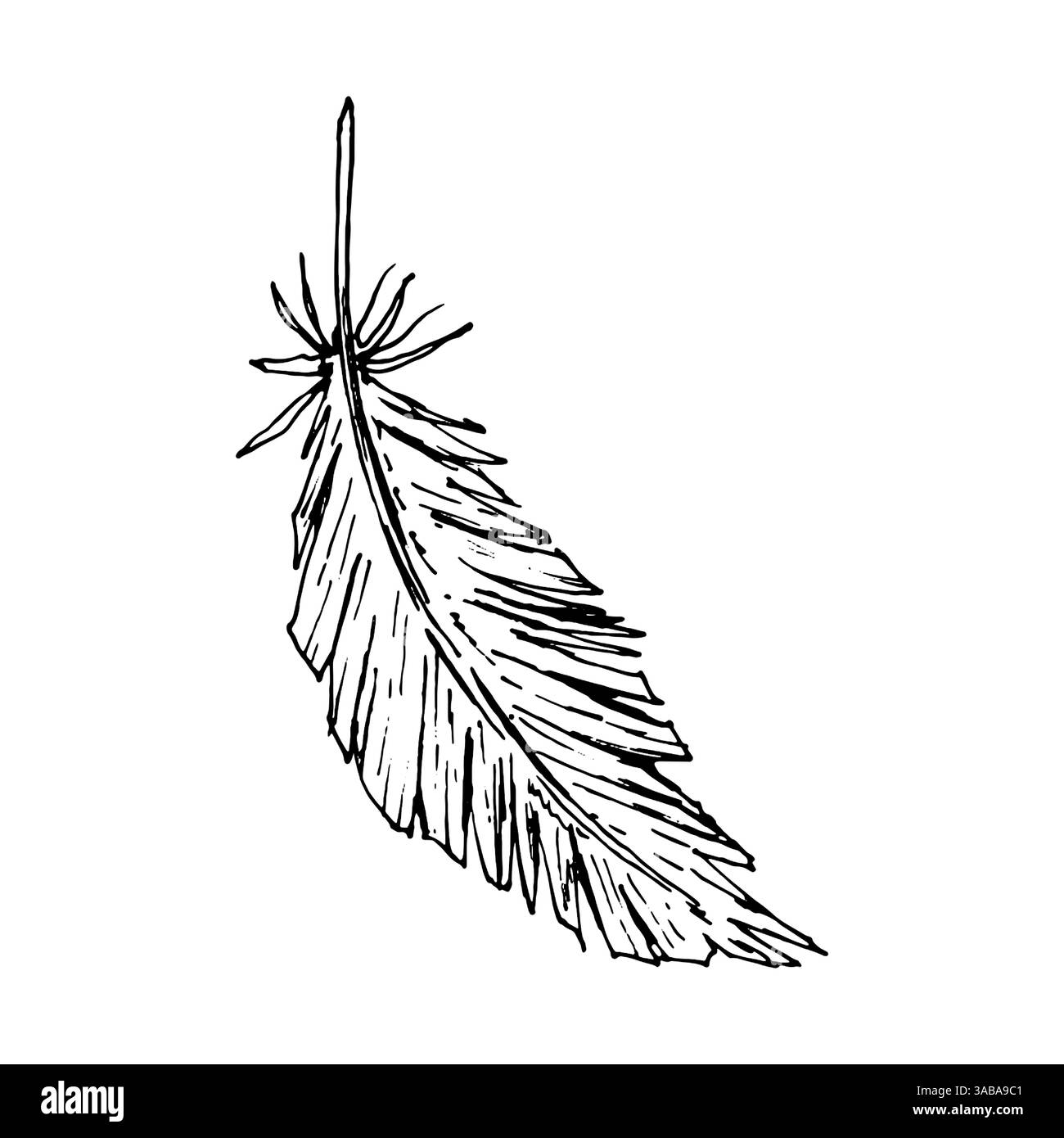 Illustrazione con piume disegnate a mano in inchiostro nero con bordi ruvidi e consistenza visibile. Disegno vettoriale in stile monocromatico. Un uccello stilizzato Illustrazione Vettoriale