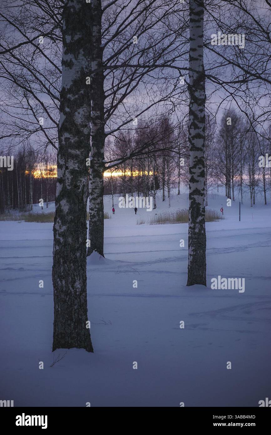 Tramonto sul lago ghiacciato Foto Stock