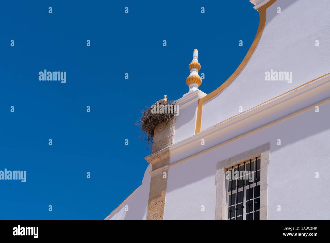Nidificazione di uccelli protetti dalla cicogna nella chiesa madre di Portimao, nell'Algarve Portogallo Foto Stock